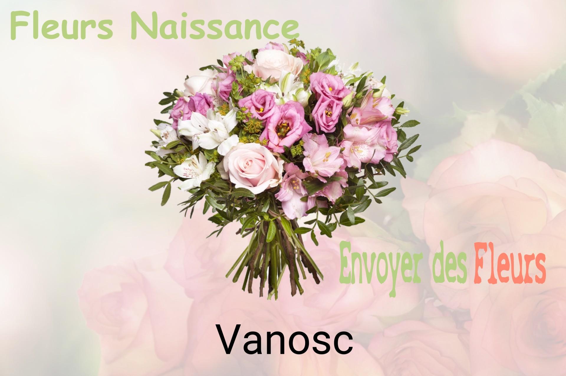Bouquet de fleurs de naissance livré à Vanosc